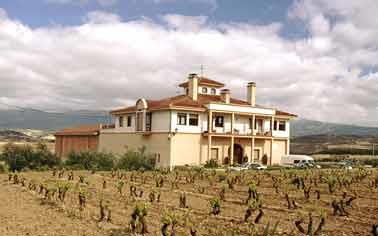 Bodega Señorío de las Viñas — foto 1 de 5