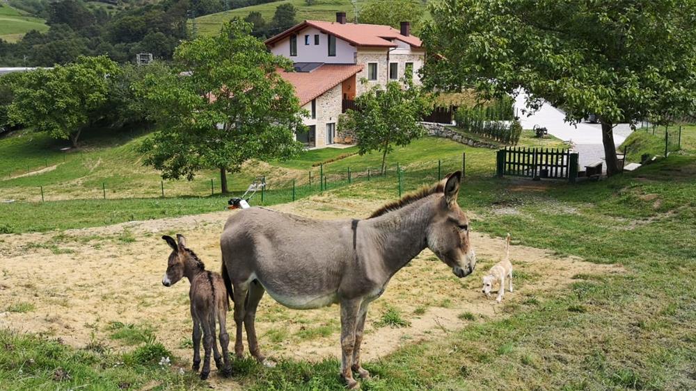 Oribar Casa Rural — foto 1 de 6