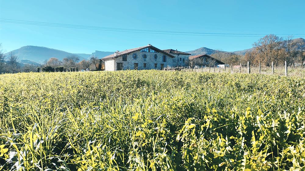 Casa Rural ALDAMOLI Landetxea — foto 1 de 5